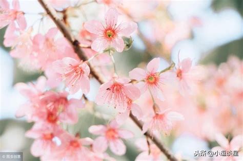 桃花運差|一生不缺桃花？從生命靈數看你的桃花運 